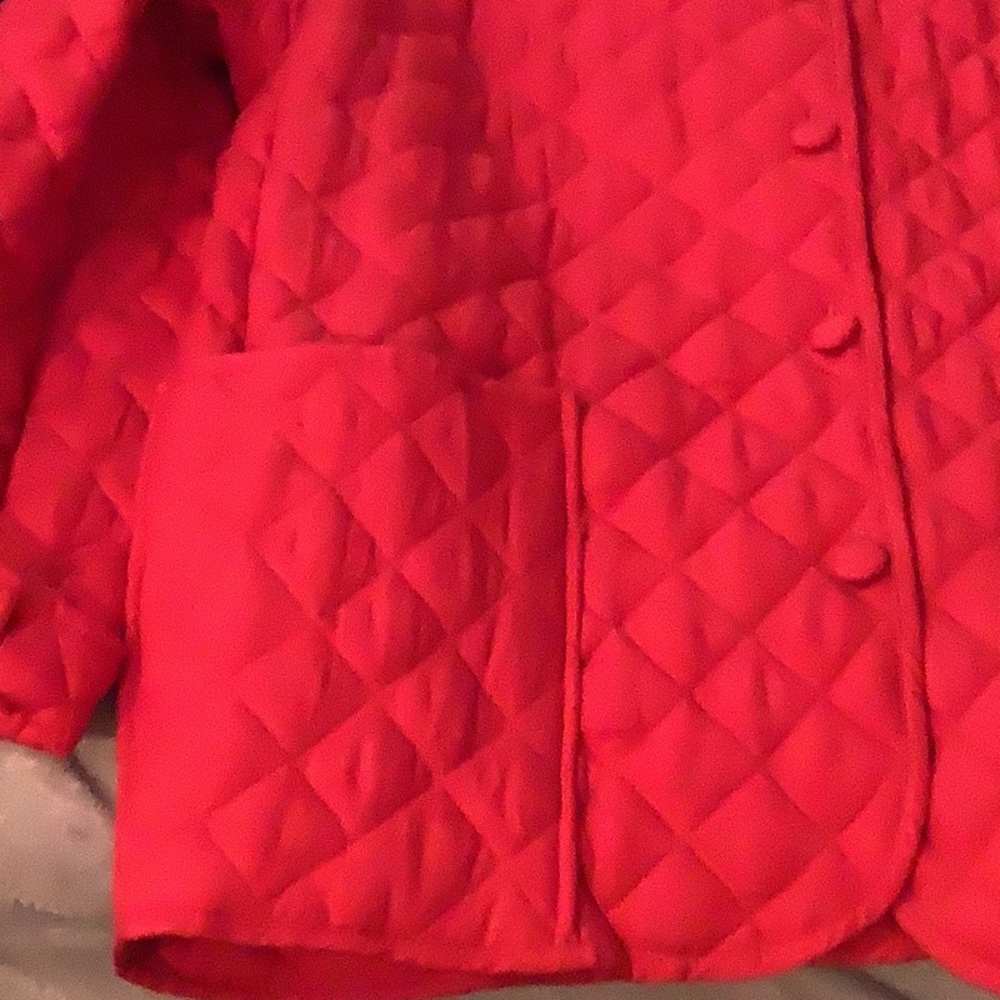 Paradiso Quilted Button Jacket - image 4